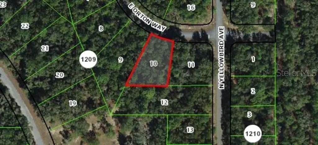 8264 N Orton Way, Dunnellon