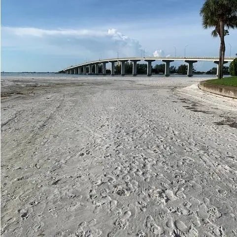 800 S Gulfview Boulevard 302, CLEARWATER BEACH
