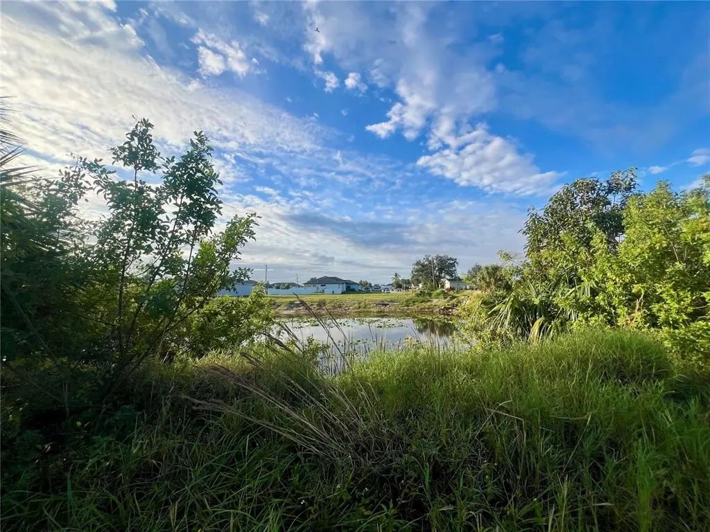 614 Ne 12th Street, CAPE CORAL