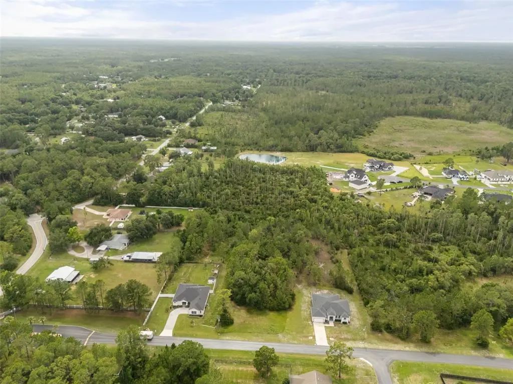 8017 Woodleaf Boulevard, WESLEY CHAPEL