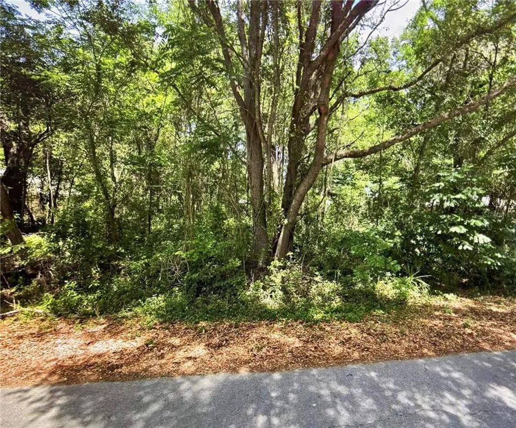 41 Pine Trace Course, OCALA
