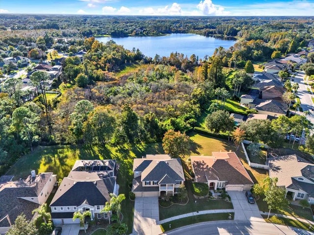 7309 Night Heron Drive, LAND O LAKES