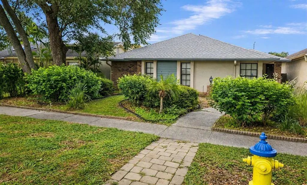 8008 La Serena Drive, TAMPA