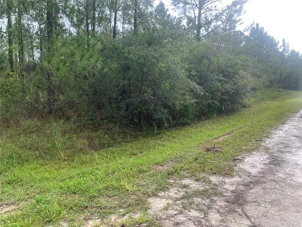 Tbd Otter Drive Lot 44, WEBSTER