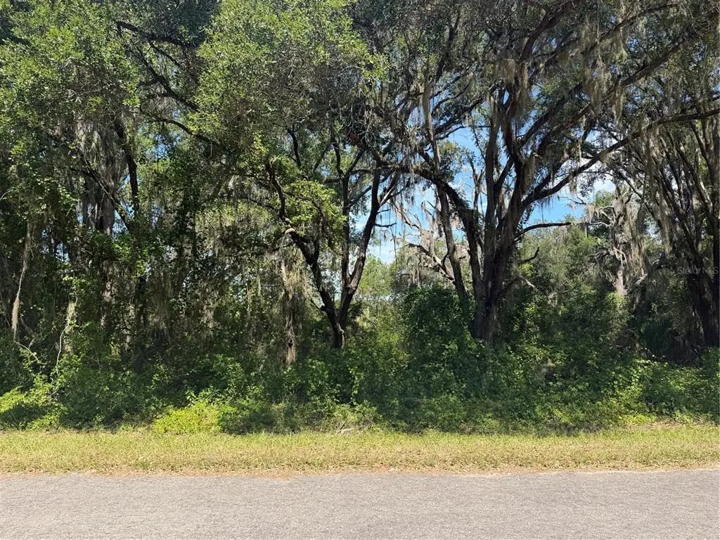 Tbd Guava Terrace, OCKLAWAHA