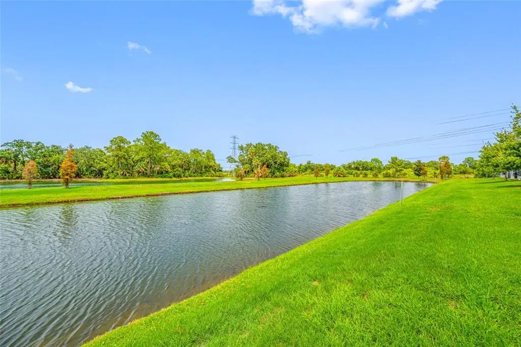 7932 Evergreen Creek Court, RIVERVIEW