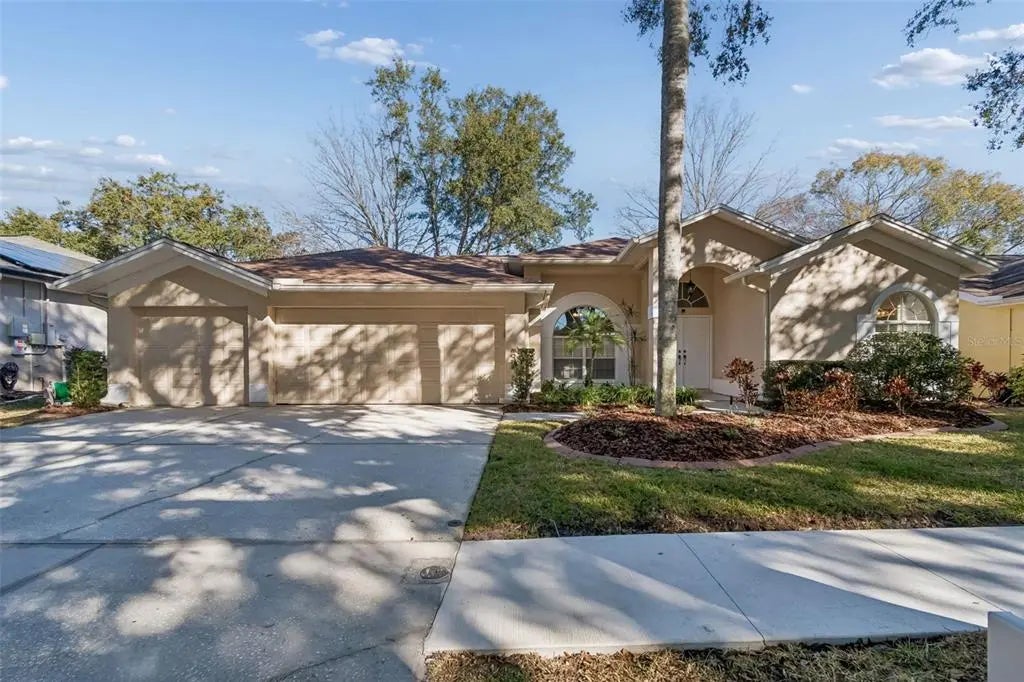9334 Hampshire Park Drive, TAMPA