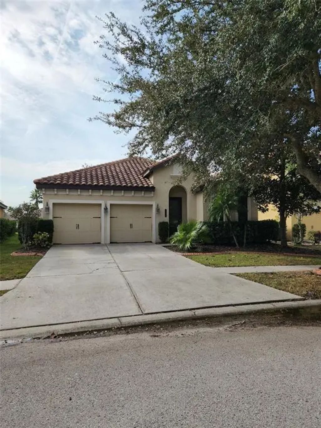 20311 Chestnut Grove Drive, TAMPA