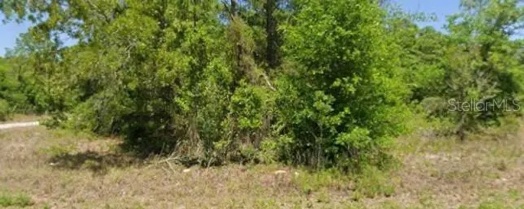21943 Rainbow Lakes Boulevard, DUNNELLON