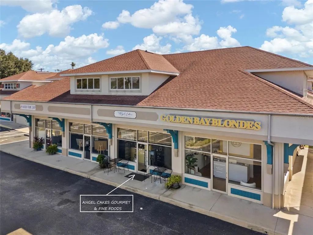 1484 Alternate 19 N, PALM HARBOR