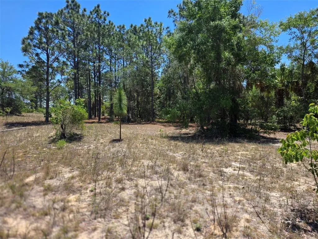 11837 N Captiva Terrace, DUNNELLON