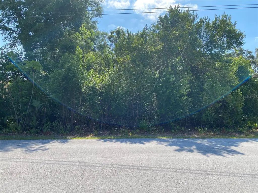 Gatewood Avenue, SPRING HILL