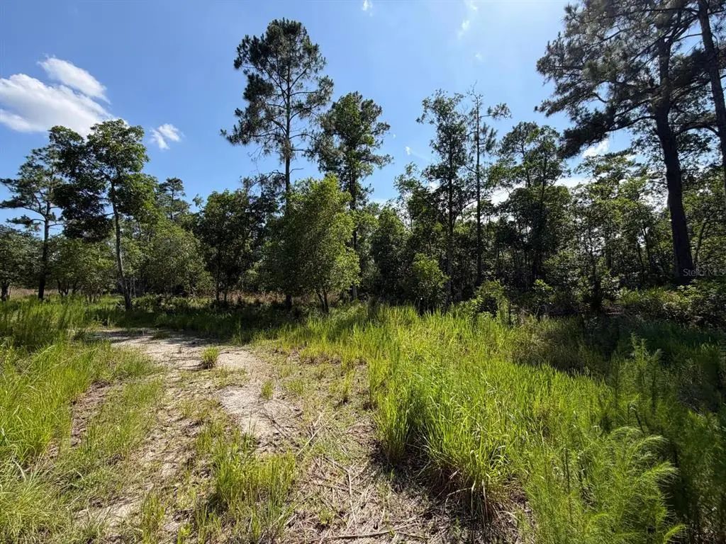 1842 Sweetwater Bend, DELTONA