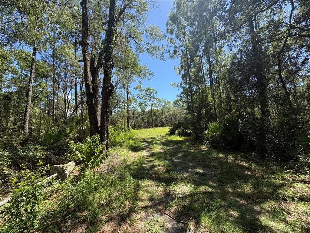 394 N Florene Point, CRYSTAL RIVER