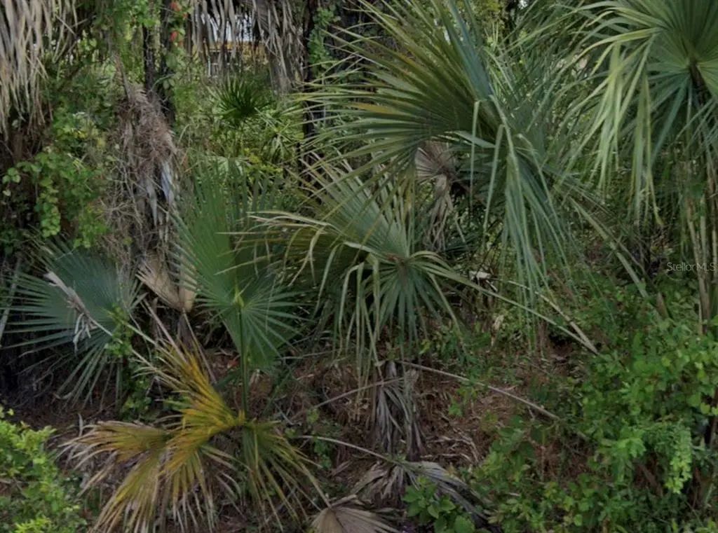 7879 Grafton Road, NORTH PORT