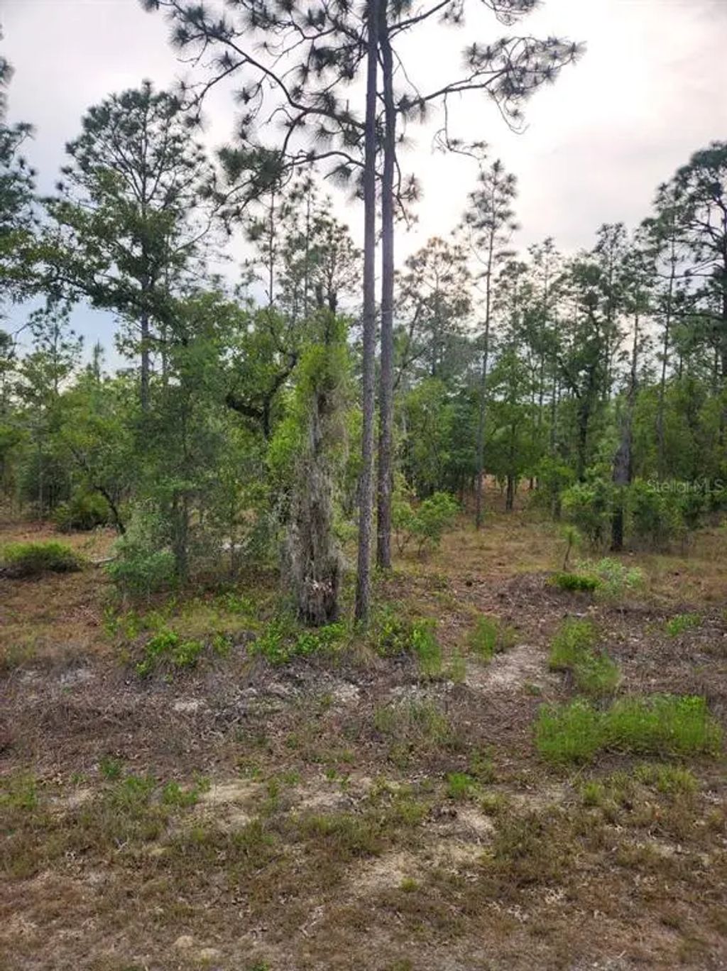 Se 130th Ct, DUNNELLON