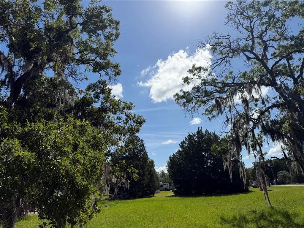 3352 S Junket Drive, Homosassa