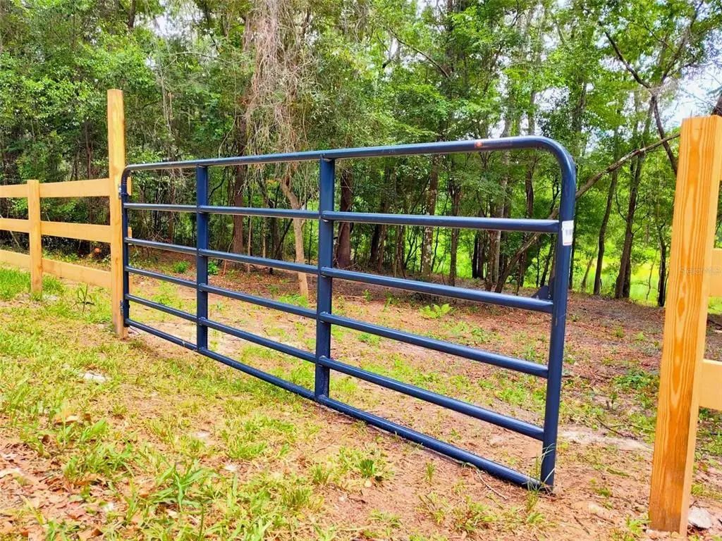 Fitzhugh Avenue, BROOKSVILLE
