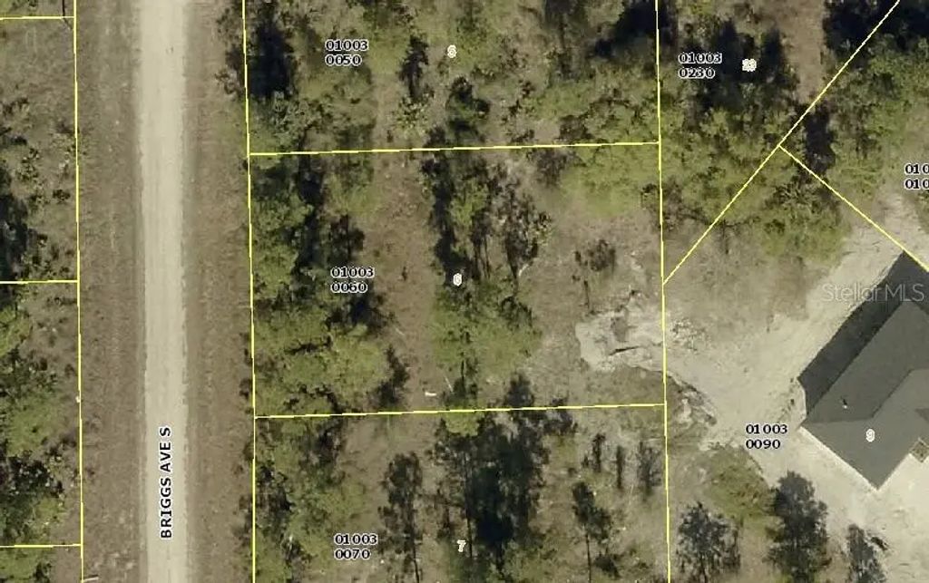 315 Briggs Avenue S, LEHIGH ACRES