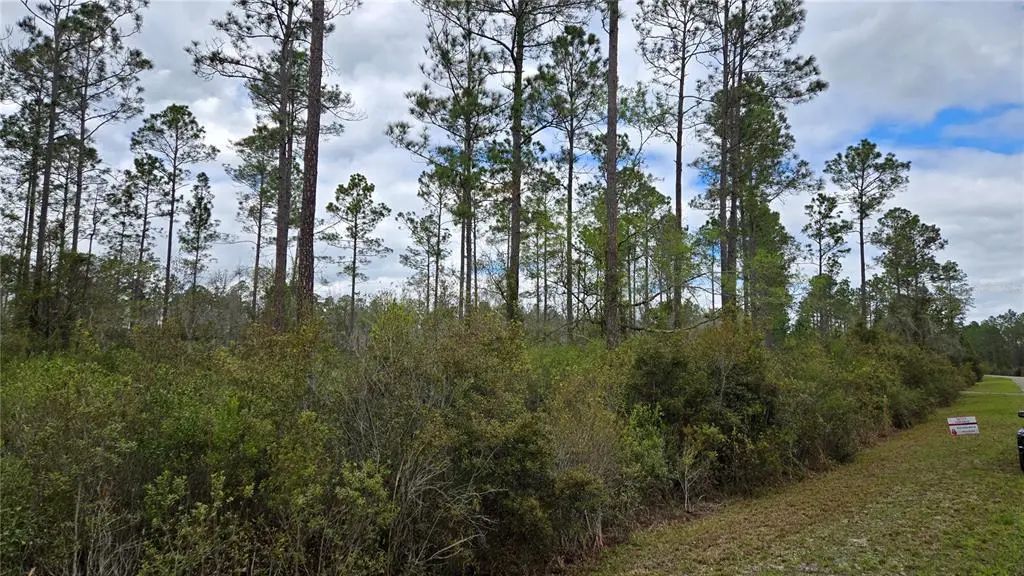Lot 10 Nw Natalie Way, LAKE CITY