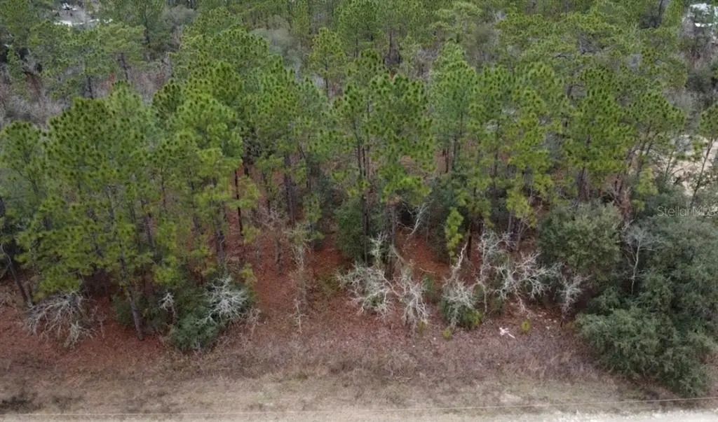 Tbd Sw 91st Lane, DUNNELLON