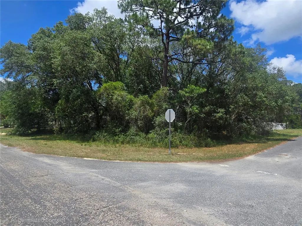 8467 N Empire Avenue, CITRUS SPRINGS