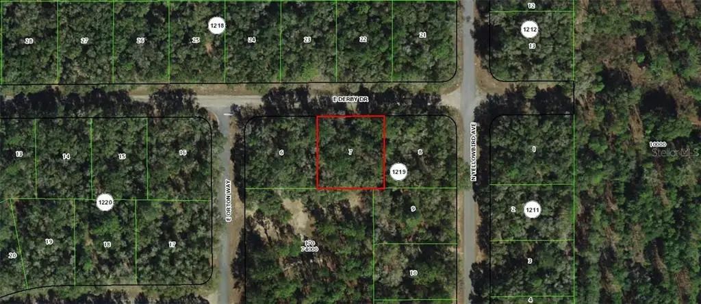 1823 E Derby Drive, Dunnellon