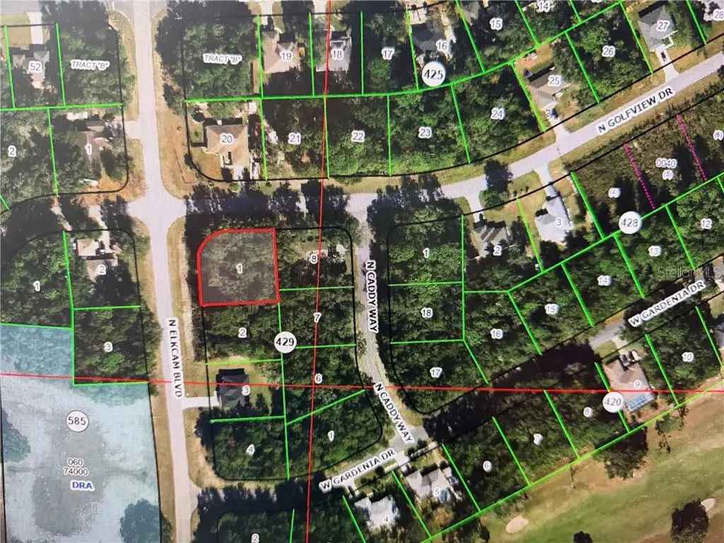 9198 N Golfview Drive, Citrus Springs