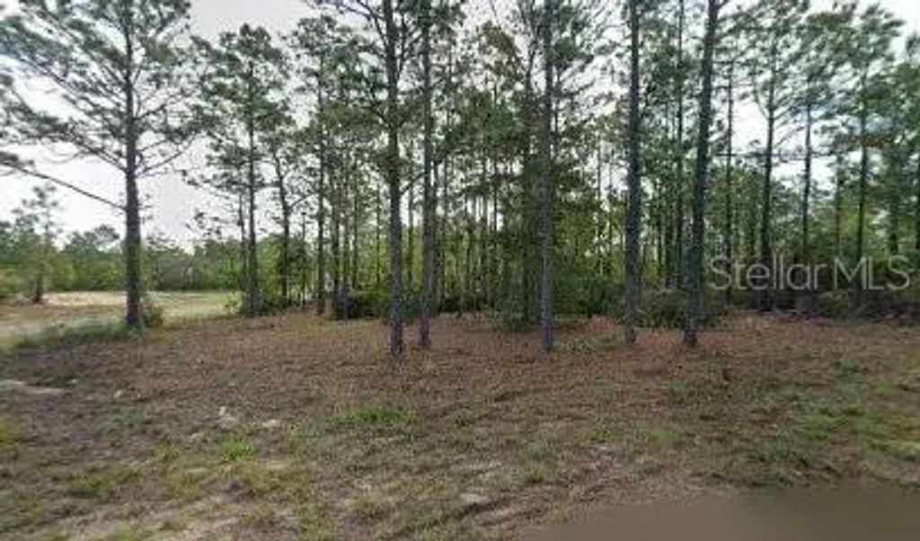 10599 N Caldera Avenue, Dunnellon