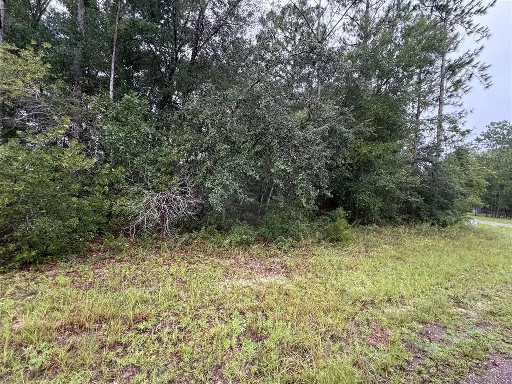 482 W Cabot Lane, CITRUS SPRINGS