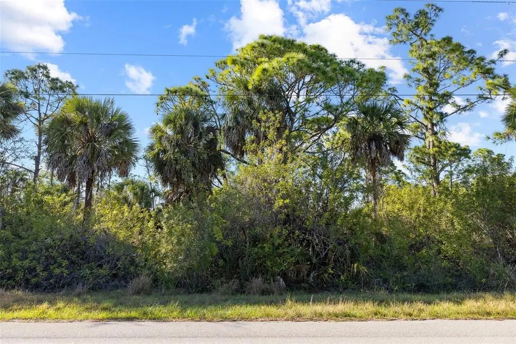 425 Cheshire Street, PORT CHARLOTTE