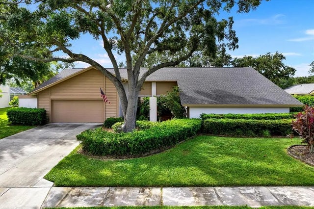 4312 Middle Lake Drive, TAMPA