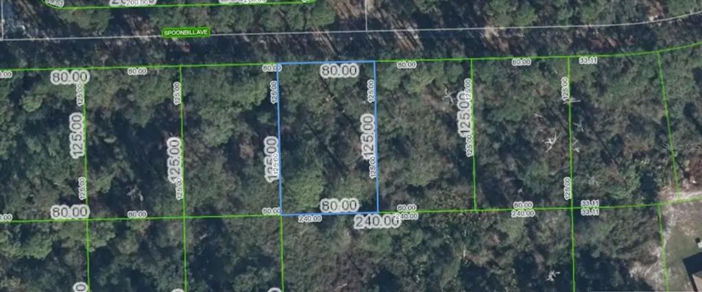 3224 Spoonbill Avenue, LAKE PLACID