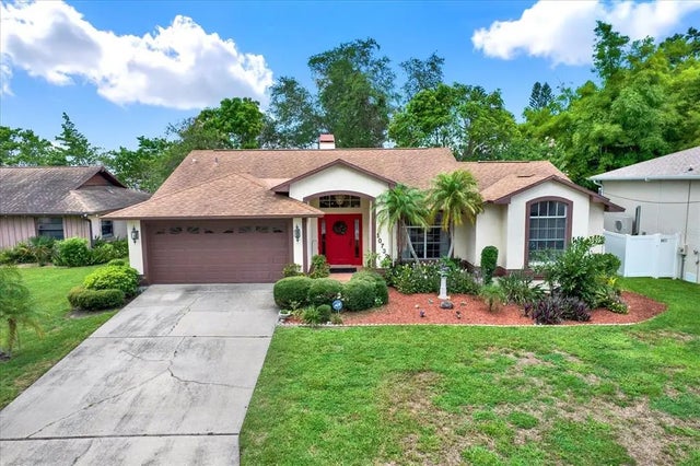 10732 Drummond Road, TAMPA