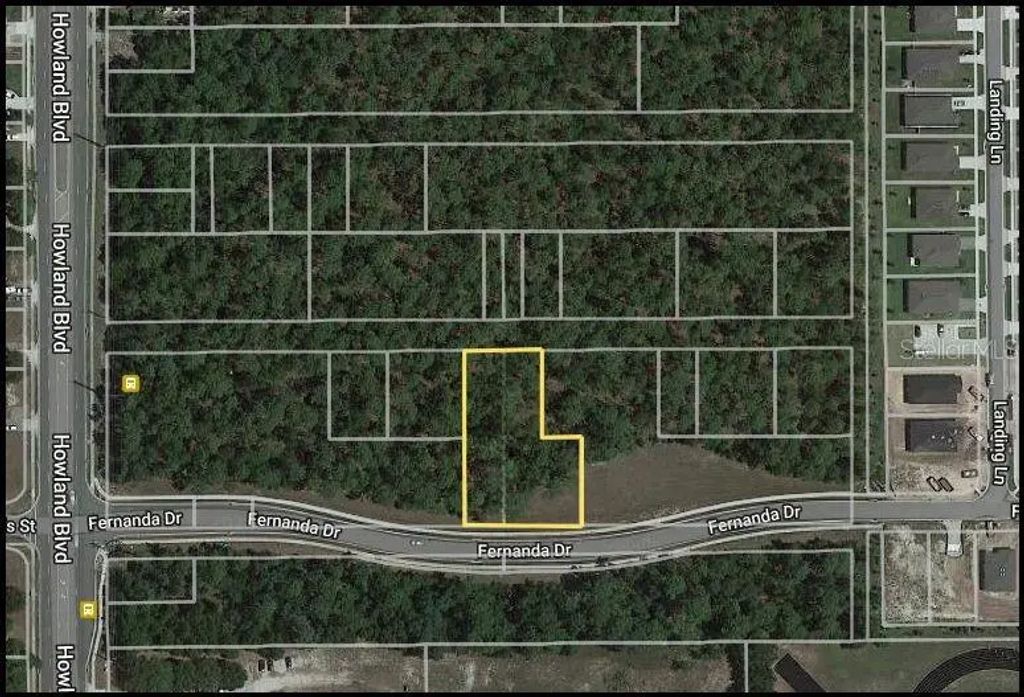 Virginia (paper) Avenue, DELTONA