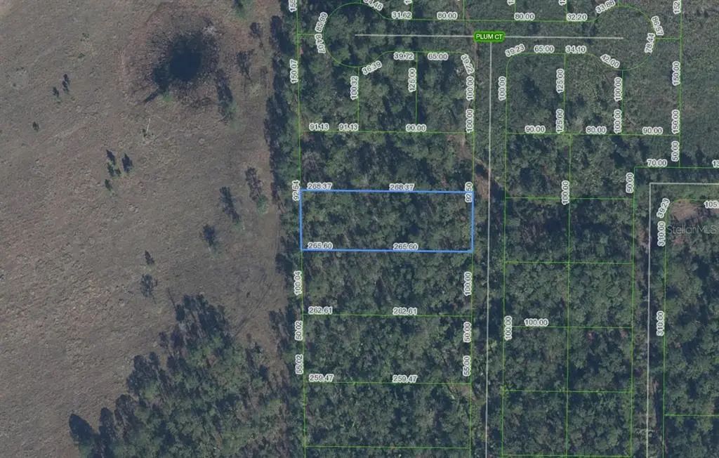 4705 Rhubarb Street, SEBRING