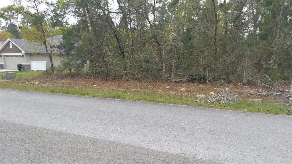 3 Tall Marigolds Ct,, HOMOSASSA