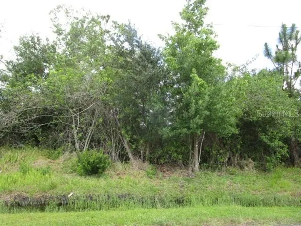 636 Jaguar Court, POINCIANA