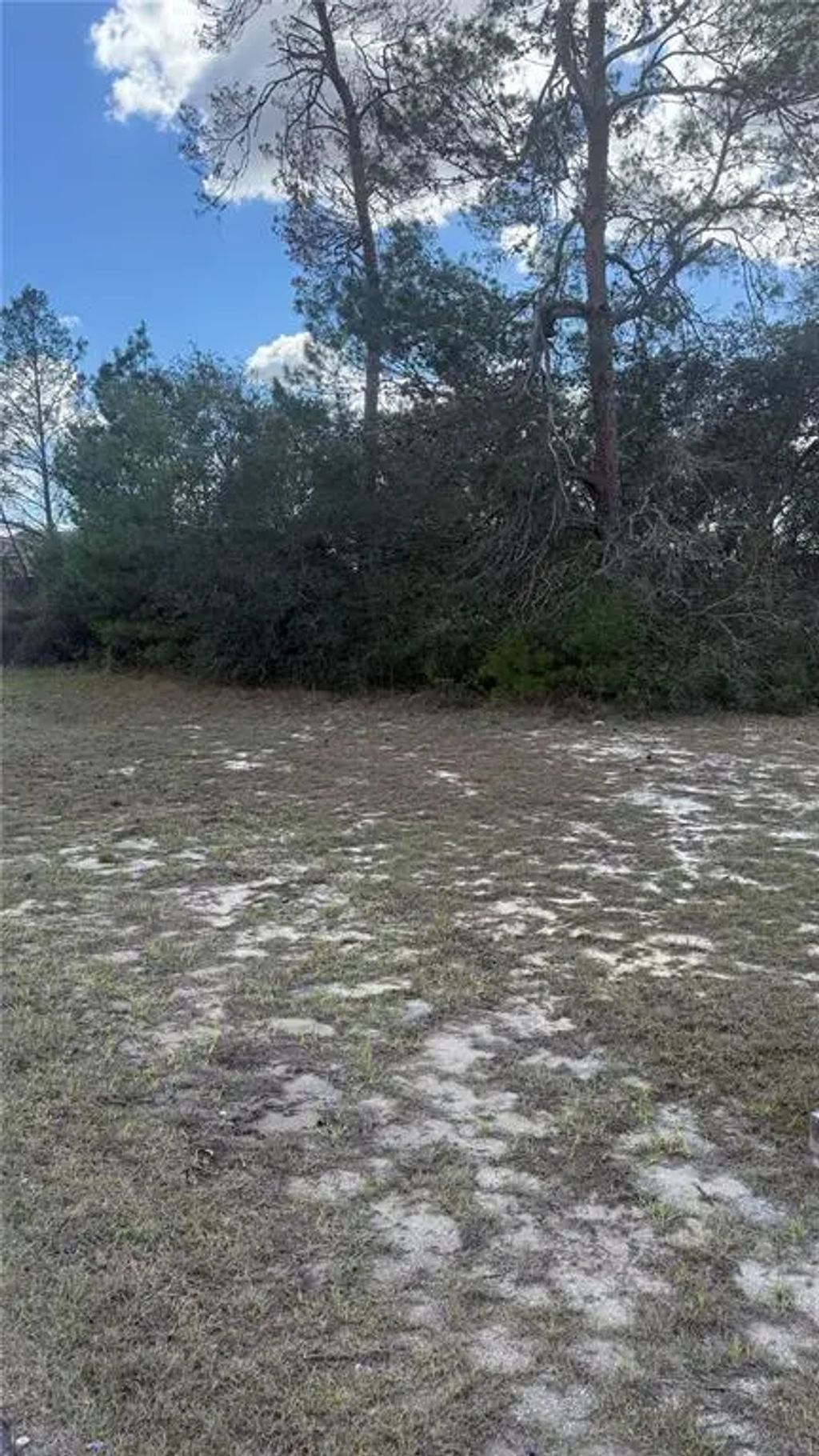 Tbd Sw 40th Circle, OCALA