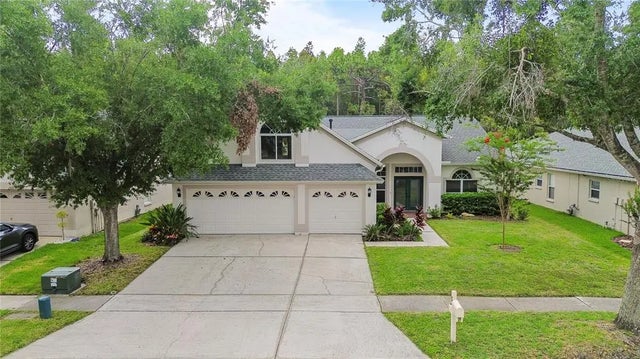 10217 Timberland Point Drive, TAMPA