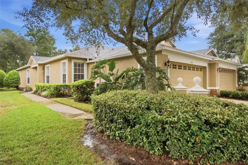 19149 Lake Audubon Drive, TAMPA