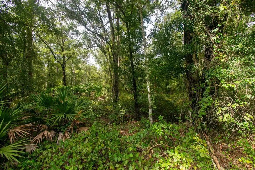 4730 Palatka Boulevard, HASTINGS