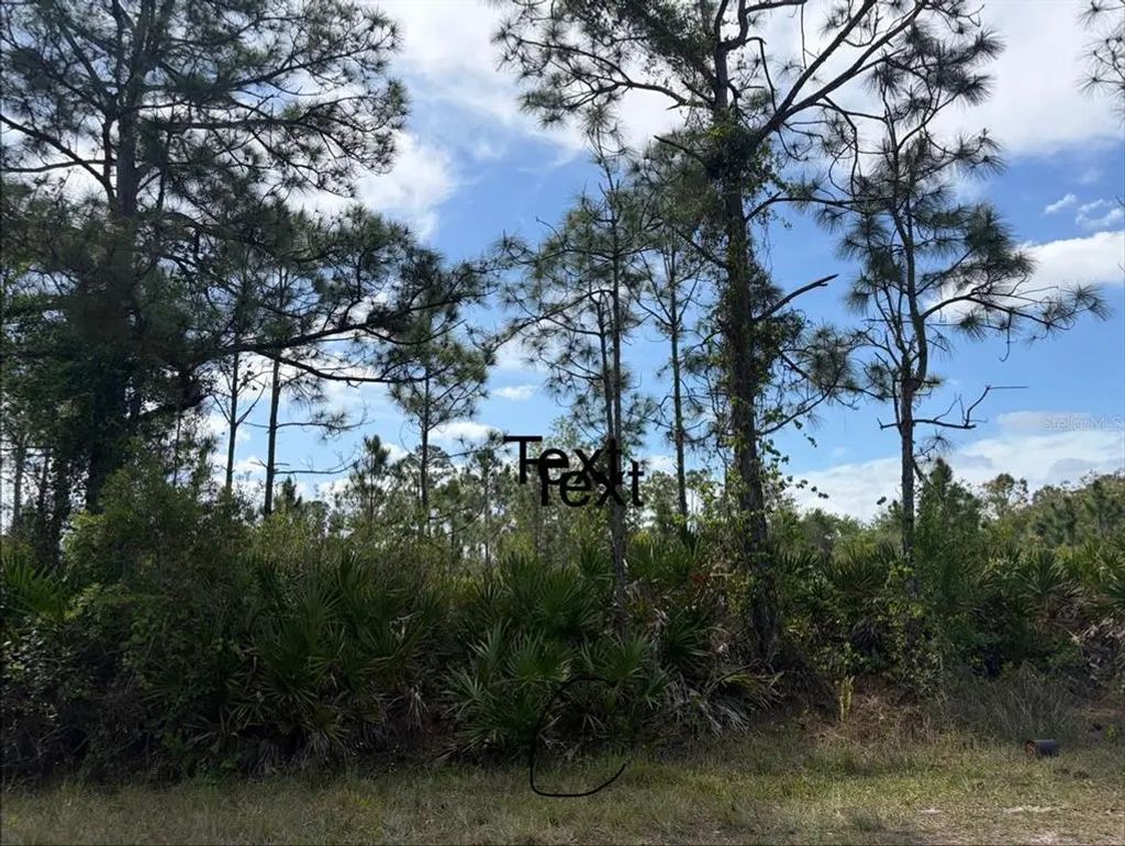28131 Ramiro Drive, PUNTA GORDA