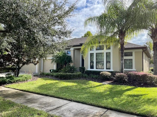 15604 Hampton Village Drive, TAMPA