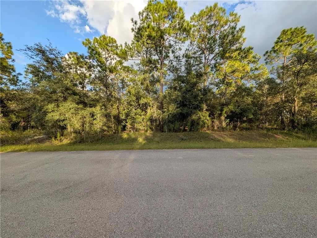 Nw Buena Vista Road, DUNNELLON
