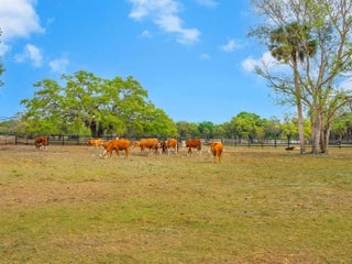 Gulf Shores Realty: 8 08bf71ec601e5f8ae061c69512130080 s