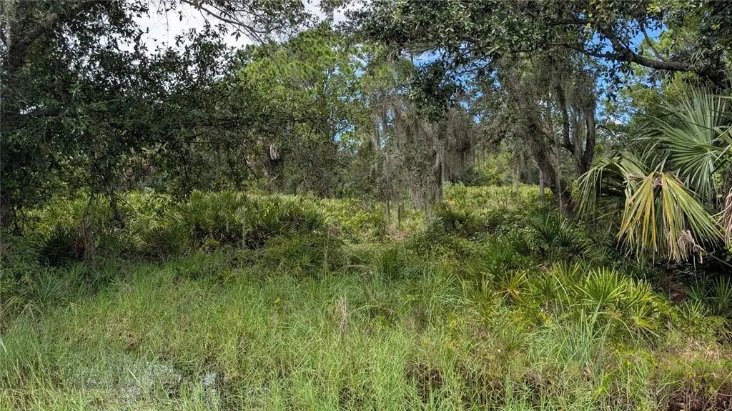 3241 Douglas Road, PORT CHARLOTTE