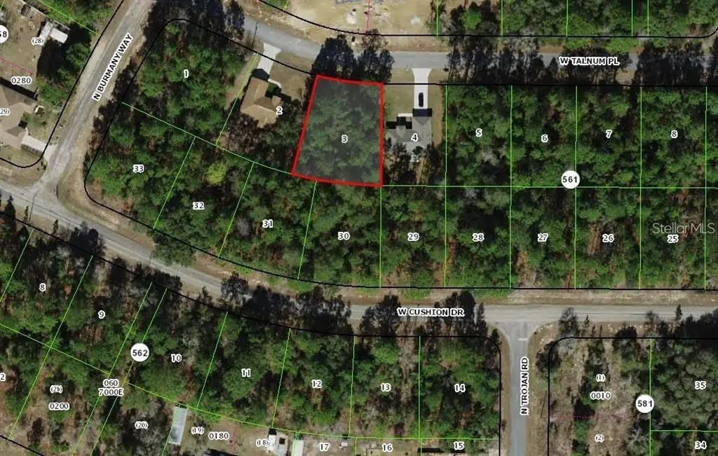 3386 W Talinum Place, CITRUS SPRINGS