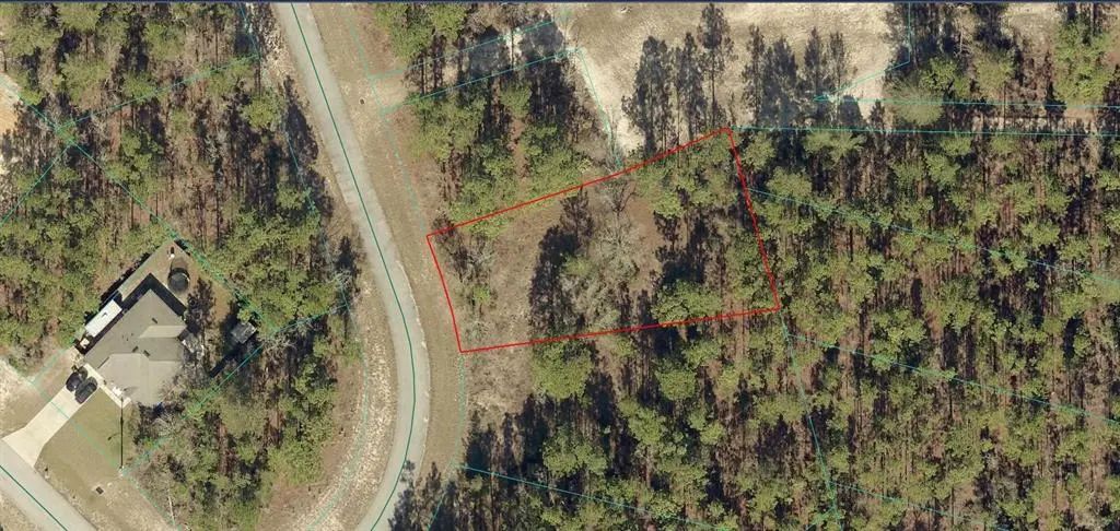 8012-1481-19 Sw 86 Circle, OCALA
