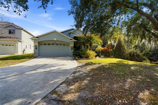 10426 Lucaya Drive, TAMPA